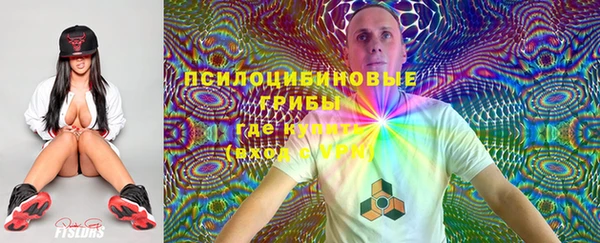 дживик Алексеевка