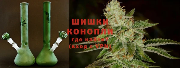 spice Алзамай