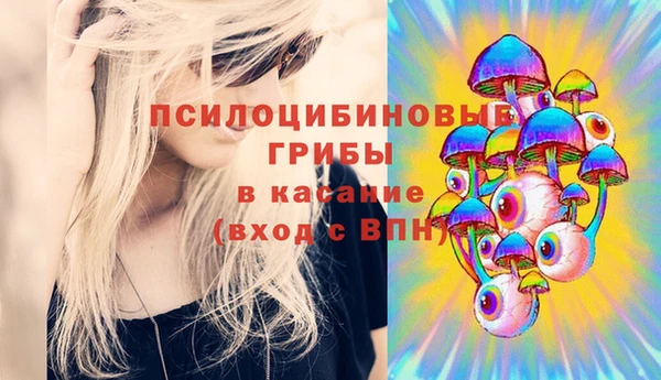 эйфоретик Алексин