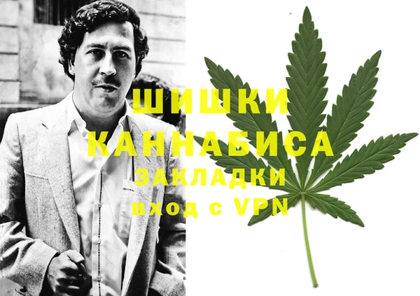spice Алзамай